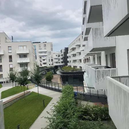Golden Breslavia